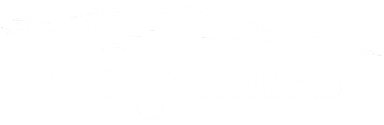 Seguiauto (blanco)